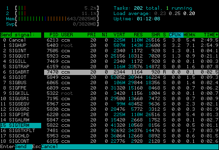 htop3.png